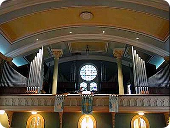 organ