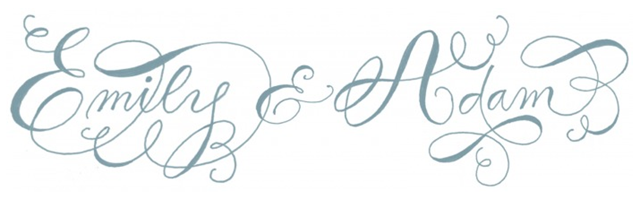 [emilie friday logo2.png]