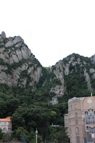 [IMG_41053.jpg]