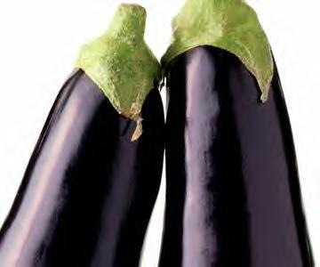 [Eggplant[3].jpg]