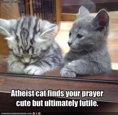 [Atheist cat[4].jpg]