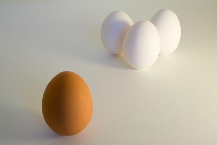 [Racist eggs[3].jpg]