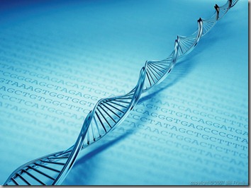 DNA strand DNA strand