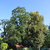 DSC_0142.JPG