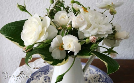 White roses2