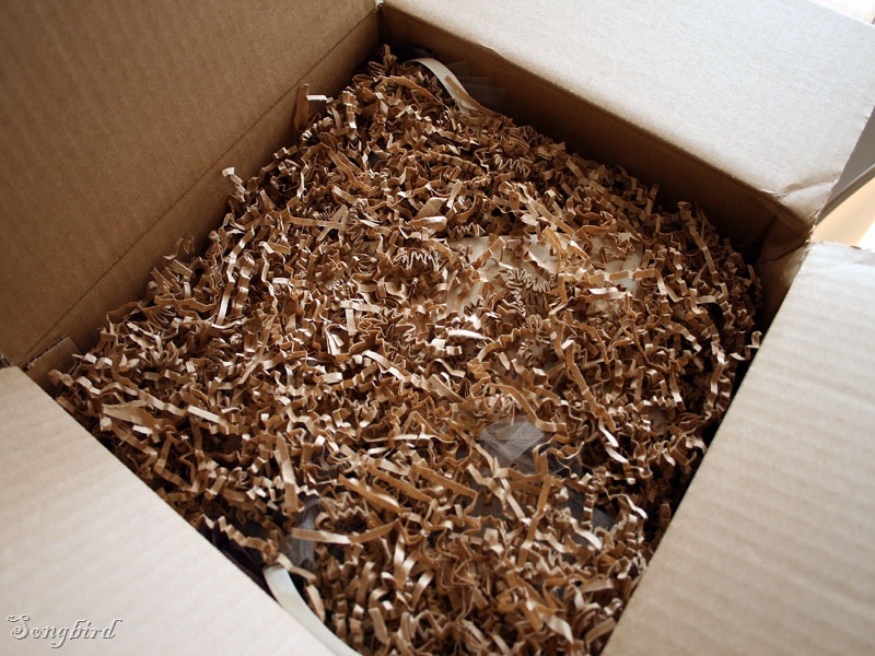 [Surprise box[5].jpg]