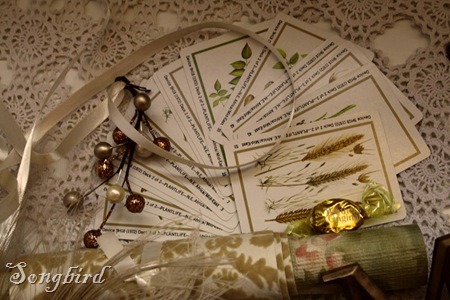 Autumn cards