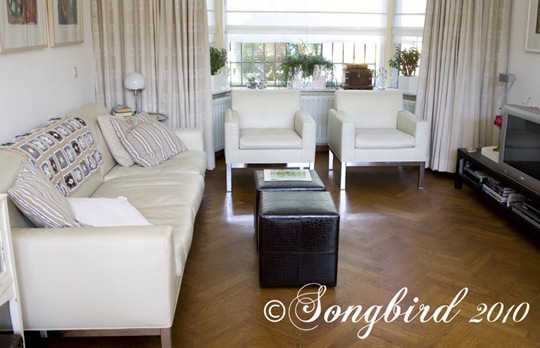 A new sisal rug for the living room A new sisal rug for the living room