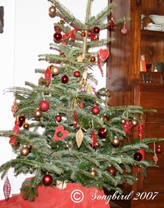 [Christmas tree 2007[9].jpg]