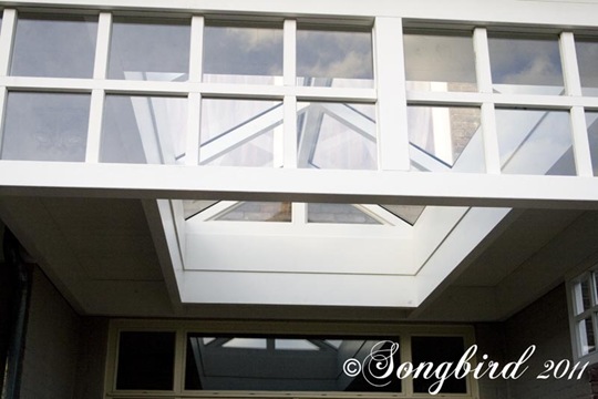 Back Porch Window Detail 3