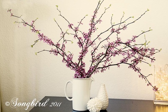 Blosom Branches 5