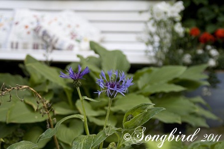 [White-Garden-Bench-42.jpg]