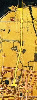 muz46a