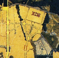 muz507