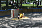 DSC_0085.JPG