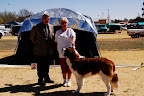 _DSC0064.JPG