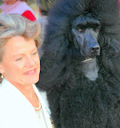SAF Poodle and Owner.jpg