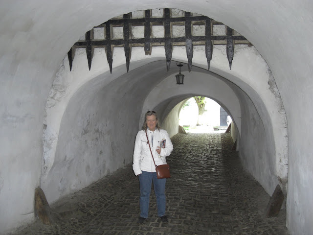 CIMG0264.JPG