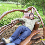 walter sisulu botanical gardens johannesburg