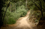 Santa Barbara Hikes