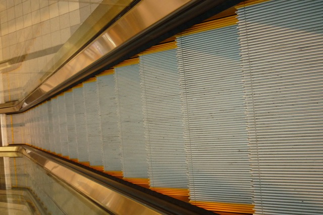 [P10100795.jpg]