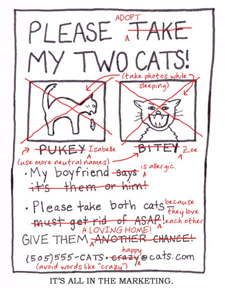Please adopt Pukey and Bitey ... Er, what are they called again? Please adopt Pukey and Bitey ... Er, what are they called again?