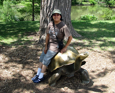 Tortiose Statue