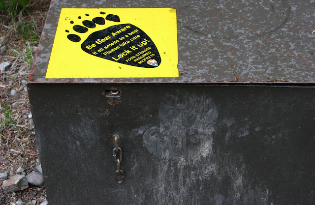 Bear Box