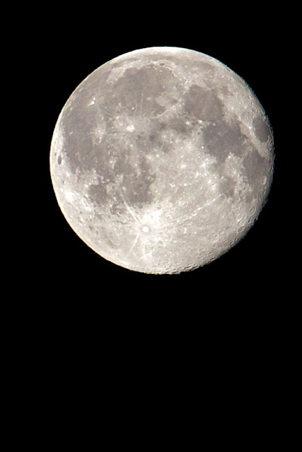 IMAGE: http://lh6.ggpht.com/_FqTNmgNQHz8/THX-fosKvGI/AAAAAAAAKuc/LSzriLZW4qM/s640/_MG_2785.jpg