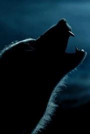 [werewolf[3].jpg]