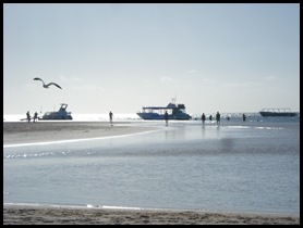 Coral Bay 008