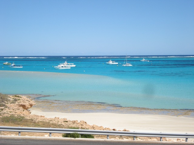 [Coral Bay 005[4].jpg]