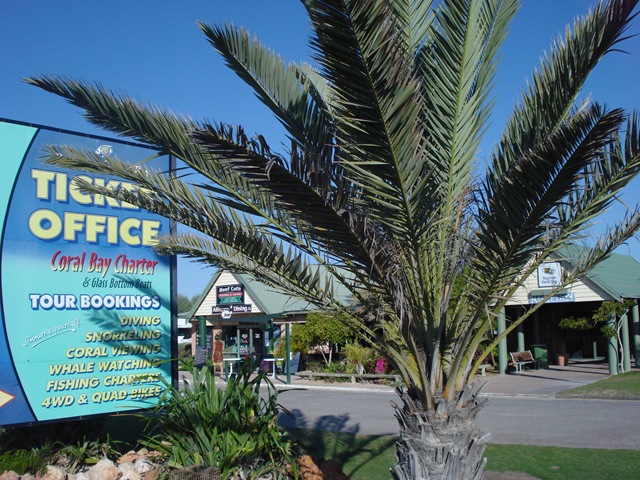 [Coral Bay 042[3].jpg]
