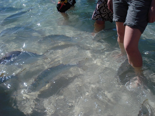 [CoralBay0313.jpg]