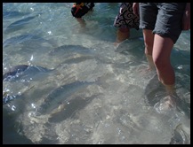 Coral Bay 031