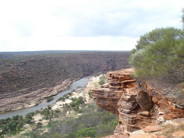 [KALBARRI0154.jpg]