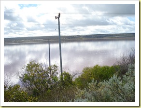 Geraldton 009