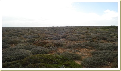 Nullarbor drive 033