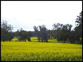 Margaret River-Esperance 026
