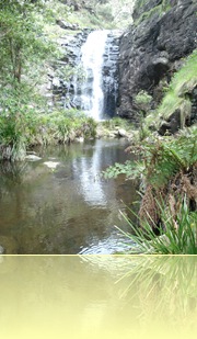 Great Ocean Road 008