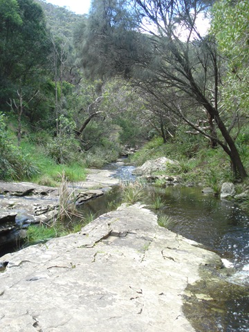 [Great Ocean Road 010[5].jpg]