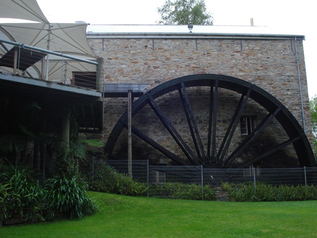 [AdelaideHandorf0104.jpg]