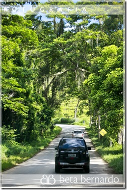 IMG_9999_7-115 copy