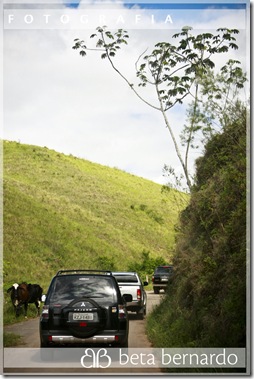 IMG_9999_8-124 copy