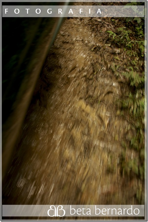 IMG_9999_138-17 copy