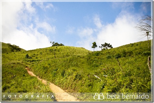 IMG_9999_253-15 copy