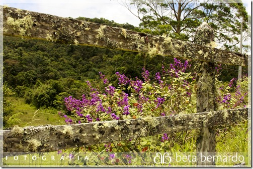 IMG_9999_39-21 copy