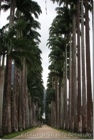 caminho menor caminho menor
