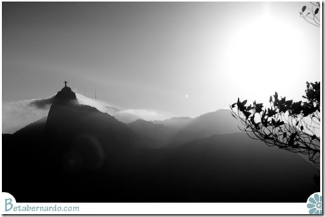 IMG_2681-1-2 copy