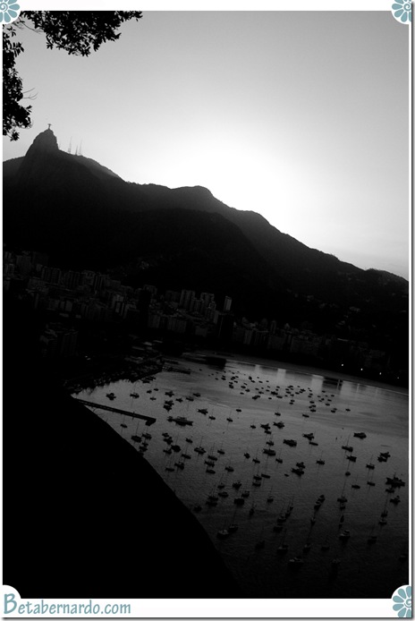 IMG_2715-1-2 copy